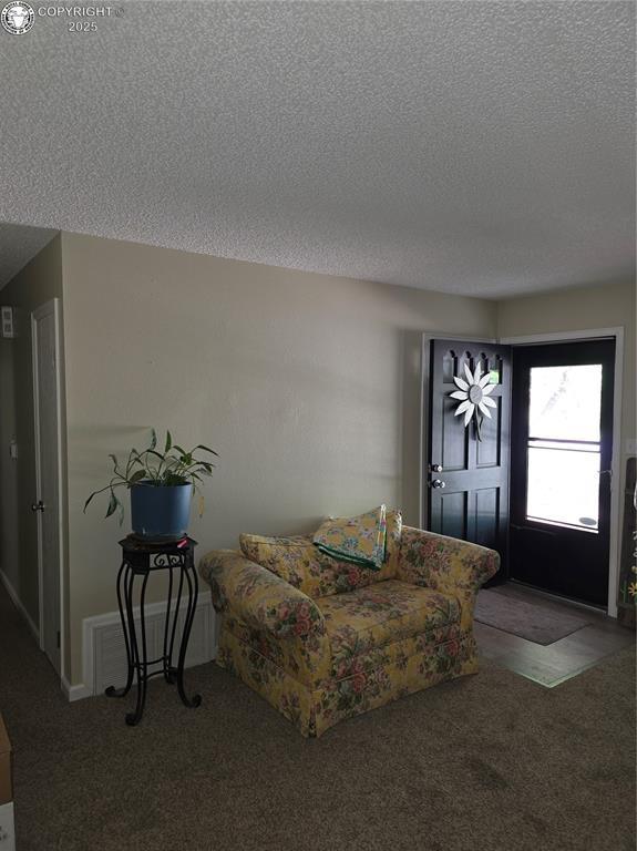 601 Field Ave, Canon City, CO 81212 - photo 6