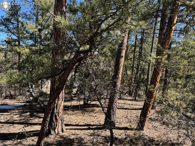 211 Bear Ln, Cotopaxi CO, 81223 land for sale