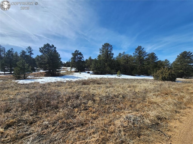 1549 Owens Ln, Texas Creek CO, 81223 land for sale