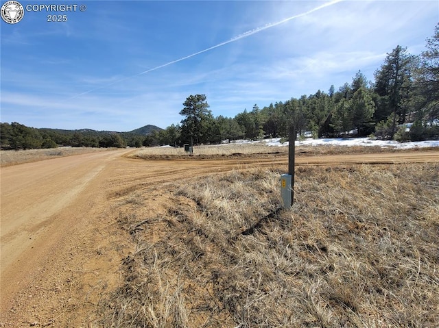 Listing photo 3 for 1549 Owens Ln, Texas Creek CO 81223