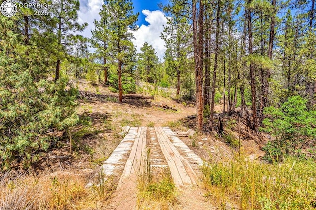 133 Mineshaft Pl, Cotopaxi, CO 81223 - photo 43