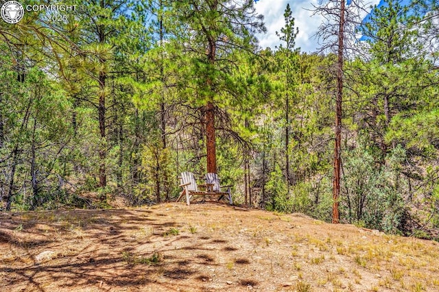 133 Mineshaft Pl, Cotopaxi, CO 81223 - photo 38