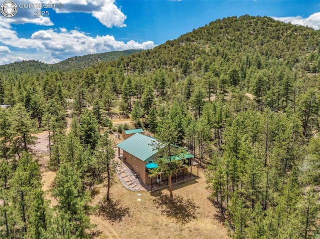 133 Mineshaft Pl, Cotopaxi, CO 81223 - photo 44