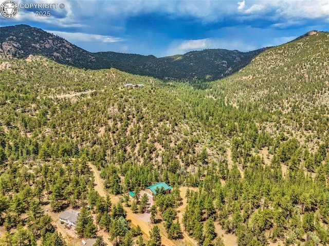 133 Mineshaft Pl, Cotopaxi, CO 81223 - photo 47