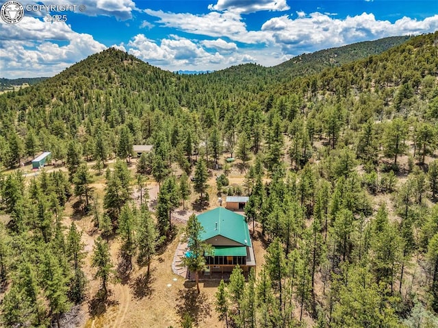 133 Mineshaft Pl, Cotopaxi, CO 81223 - photo 45