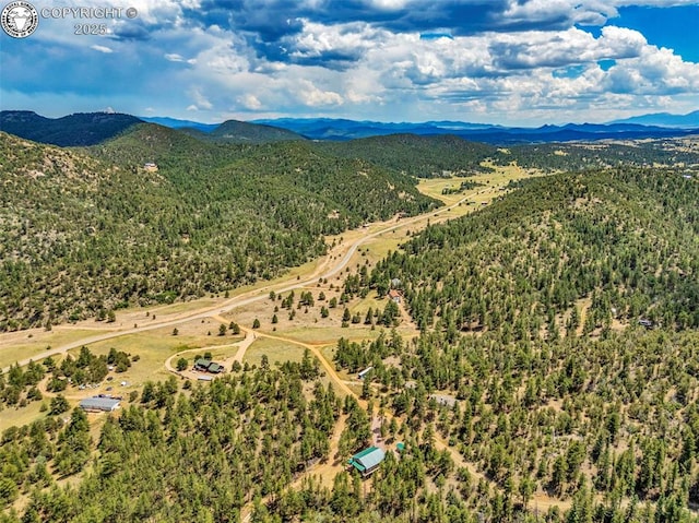 133 Mineshaft Pl, Cotopaxi, CO 81223 - photo 48