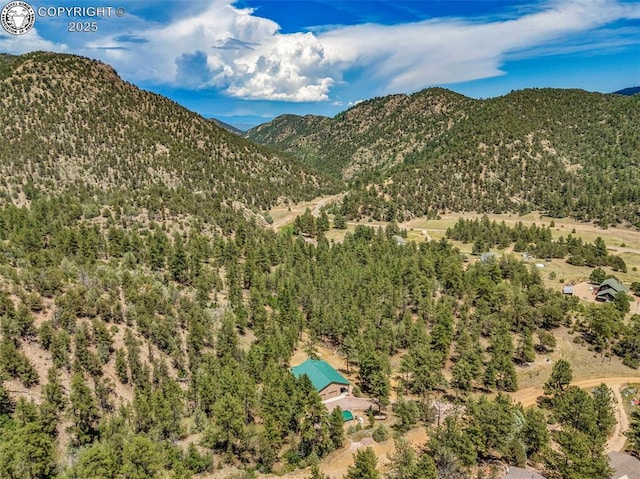 133 Mineshaft Pl, Cotopaxi, CO 81223 - photo 46