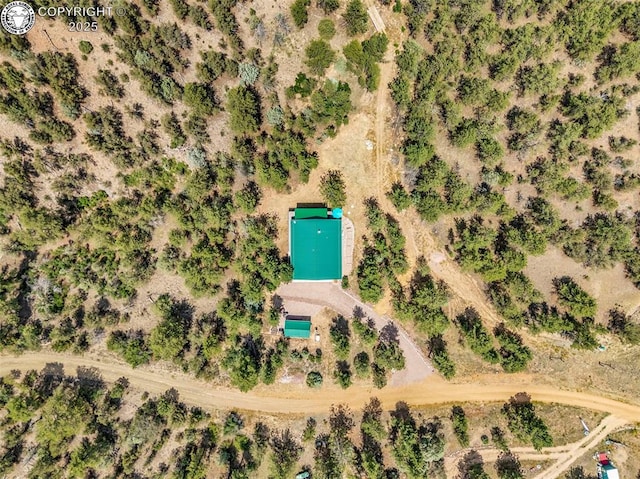 133 Mineshaft Pl, Cotopaxi, CO 81223 - photo 49