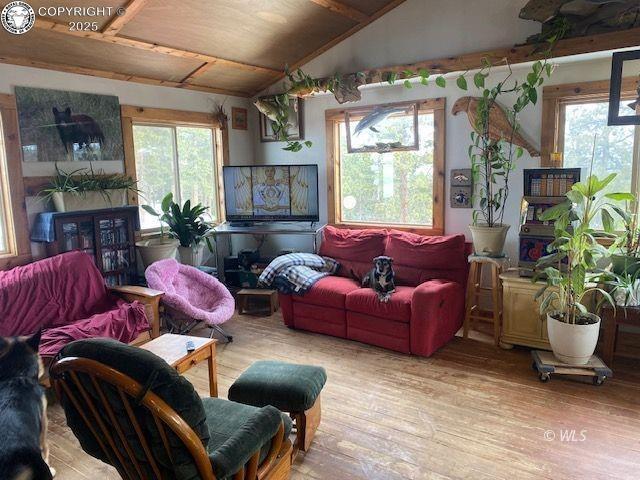 living room featuring lofted ceiling and light hardwood / wood-style floors