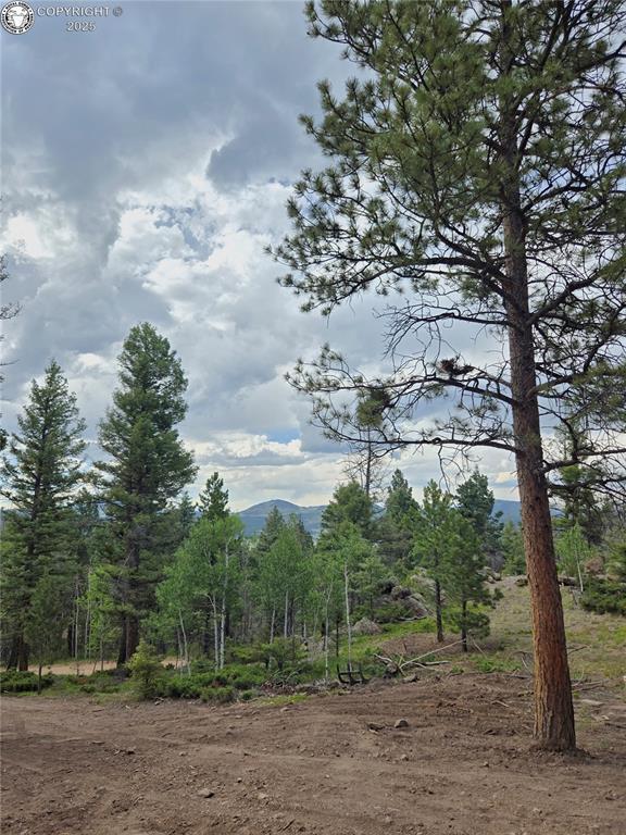 259 Basswood Ln, Canon City, CO 81212