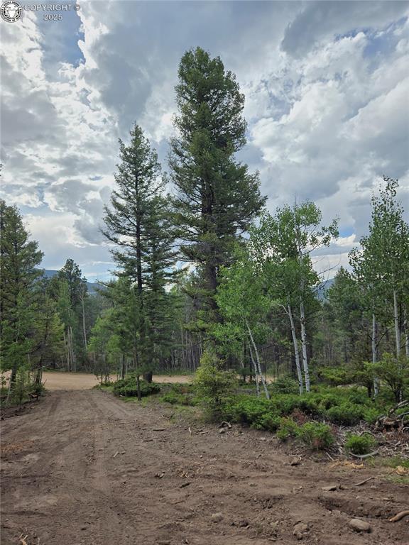 259 Basswood Ln, Canon City, CO 81212
