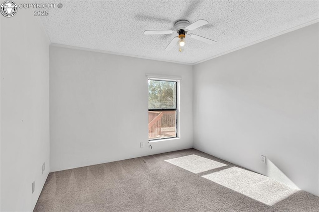 empty room with a ceiling fan, carpet, crown molding, and a textured ceiling