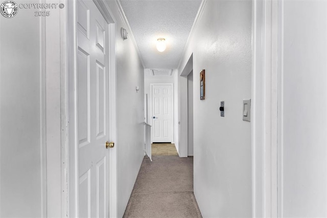 hall featuring light colored carpet and a textured ceiling