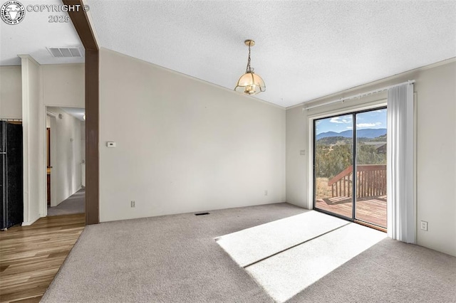 empty room featuring lofted ceiling, a textured ceiling, carpet, and visible vents