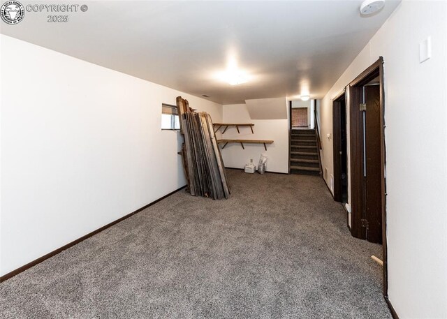 19 Hampton Ct, Pueblo, CO 81001 - photo 30