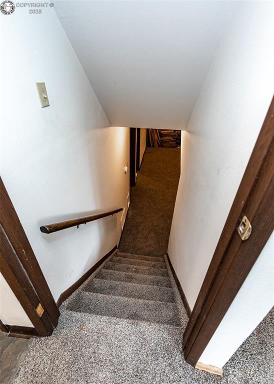 19 Hampton Ct, Pueblo, CO 81001 - photo 29