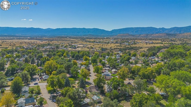 birds eye view of property featuring a mountain view