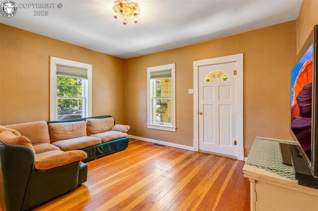 living room featuring hardwood / wood-style flooring