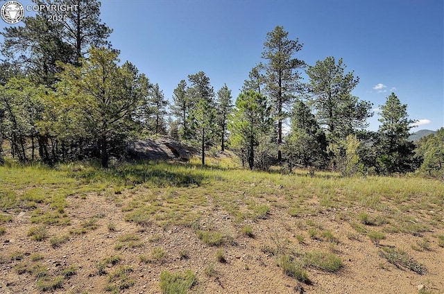 214 Durfee Cir, Westcliffe, CO 81252 - view of nature