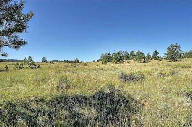 view of local wilderness featuring a rural view