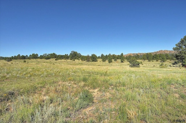 view of landscape featuring a rural view