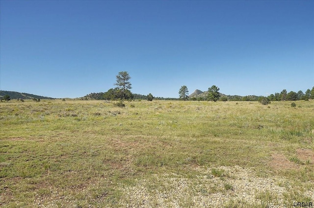 view of nature with a rural view