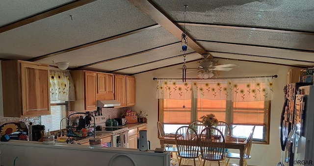 kitchen with lofted ceiling, white electric stove, sink, and a wealth of natural light