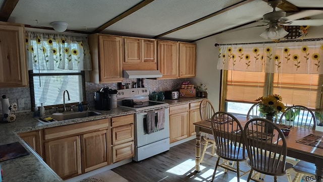 kitchen featuring sink, plenty of natural light, white electric stove, dark hardwood / wood-style flooring, and decorative backsplash