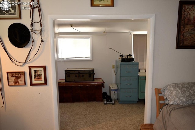 800 L St, Penrose, CO 81240 - photo 30