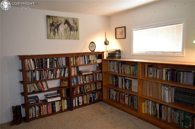 800 L St, Penrose, CO 81240 - photo 29