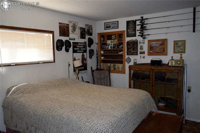 800 L St, Penrose, CO 81240 - photo 18