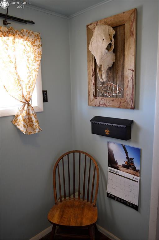 800 L St, Penrose, CO 81240 - photo 32
