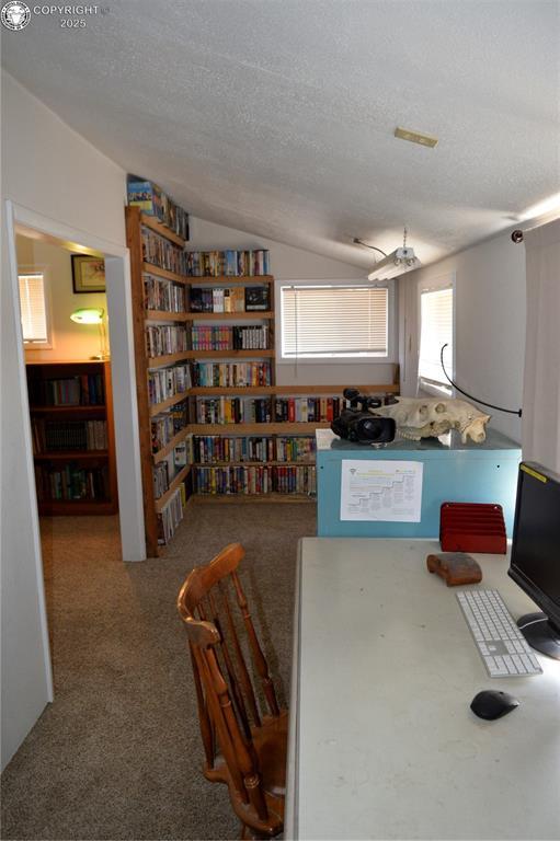 800 L St, Penrose, CO 81240 - photo 31