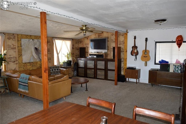 800 L St, Penrose, CO 81240 - photo 9