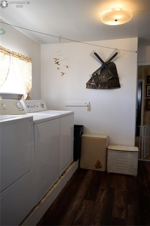 800 L St, Penrose, CO 81240 - photo 33