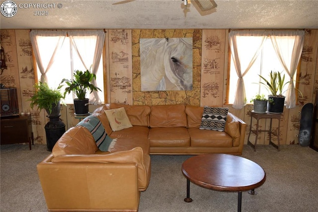 800 L St, Penrose, CO 81240 - photo 7