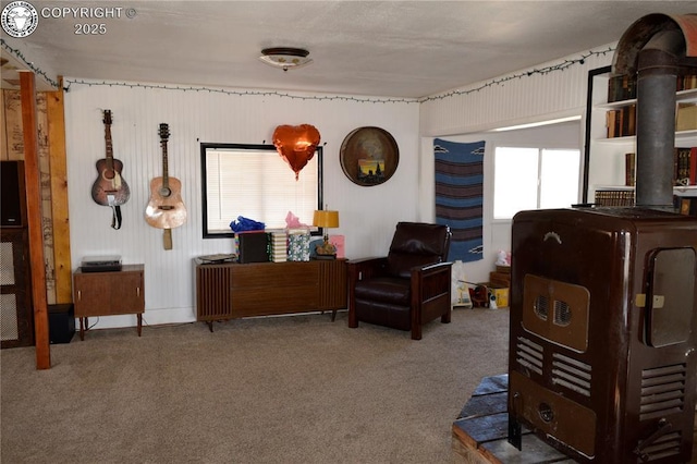 800 L St, Penrose, CO 81240 - photo 10