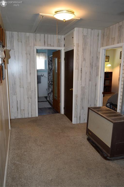 800 L St, Penrose, CO 81240 - photo 20