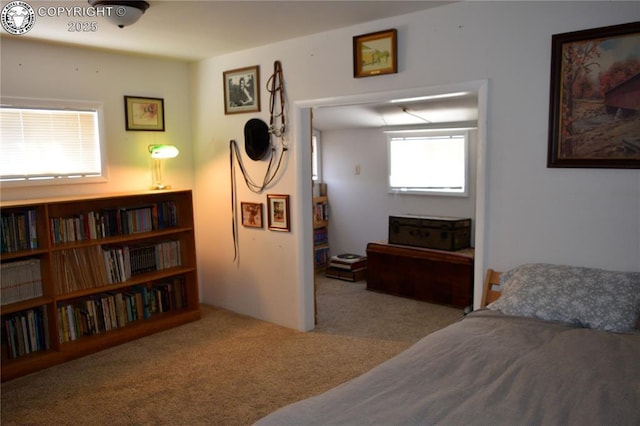 800 L St, Penrose, CO 81240 - photo 28