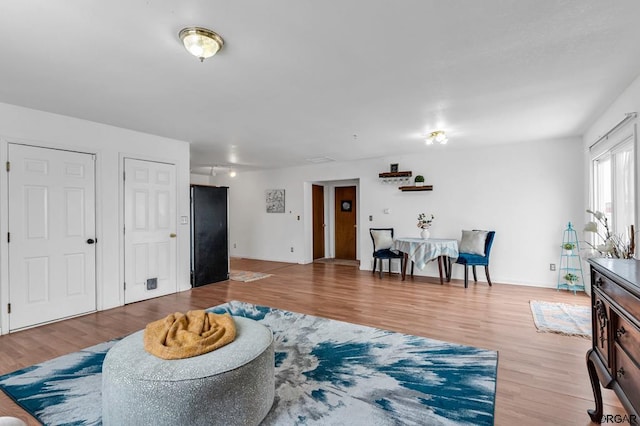 living room featuring light hardwood / wood-style floors