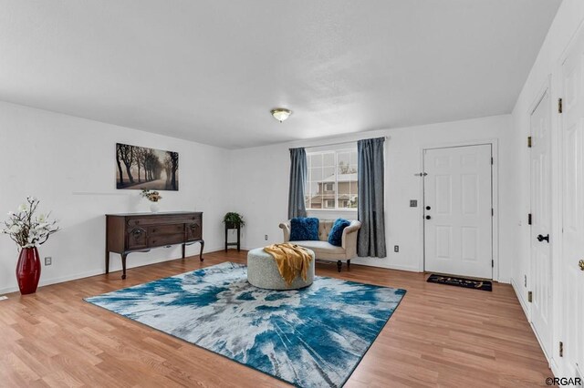 sitting room featuring hardwood / wood-style floors