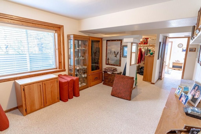 sitting room featuring light carpet