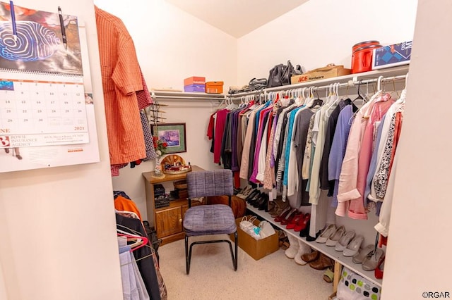 spacious closet featuring carpet flooring