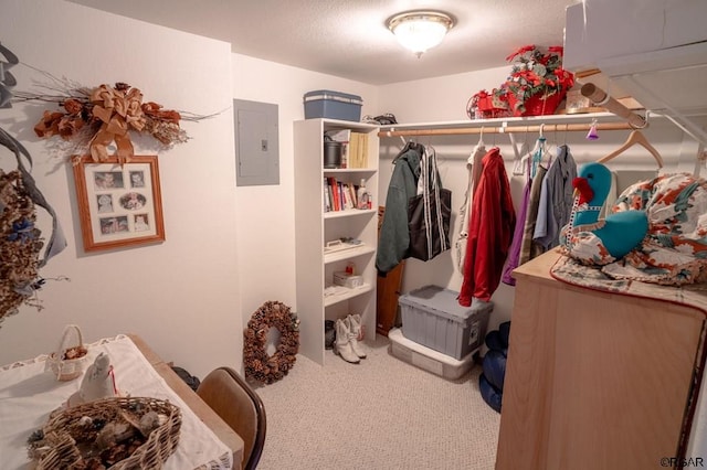 walk in closet with carpet flooring and electric panel