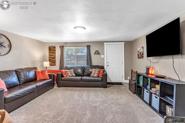 living room featuring a textured ceiling, carpet, and baseboards