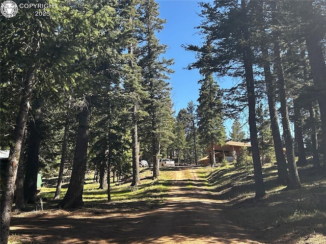 648 Westcliffe Dr, Rye, CO 81069 - view of dirt / gravel driveway