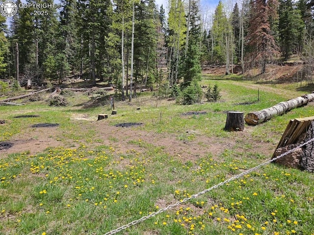648 Westcliffe Dr, Rye, CO 81069 - view of yard