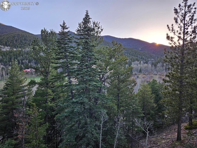 648 Westcliffe Dr, Rye, CO 81069 - view of mountain backdrop featuring a forest