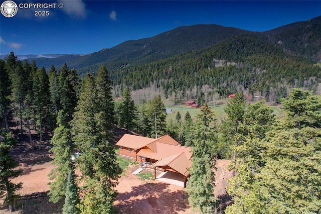 648 Westcliffe Dr, Rye, CO 81069 - photo 35