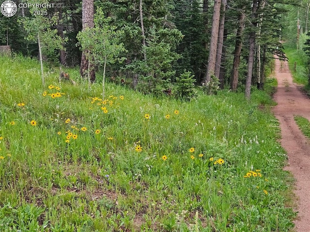 648 Westcliffe Dr, Rye, CO 81069 - photo 36